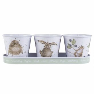 picture of country animal herb pots.